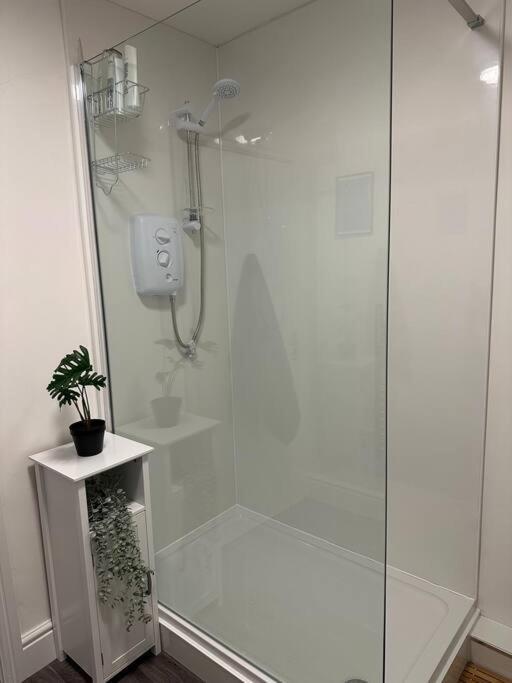 Cosy Authentic Flat In The Heart Of Galashiels Exteriör bild