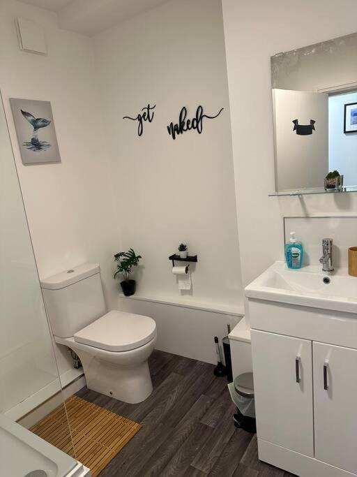 Cosy Authentic Flat In The Heart Of Galashiels Exteriör bild